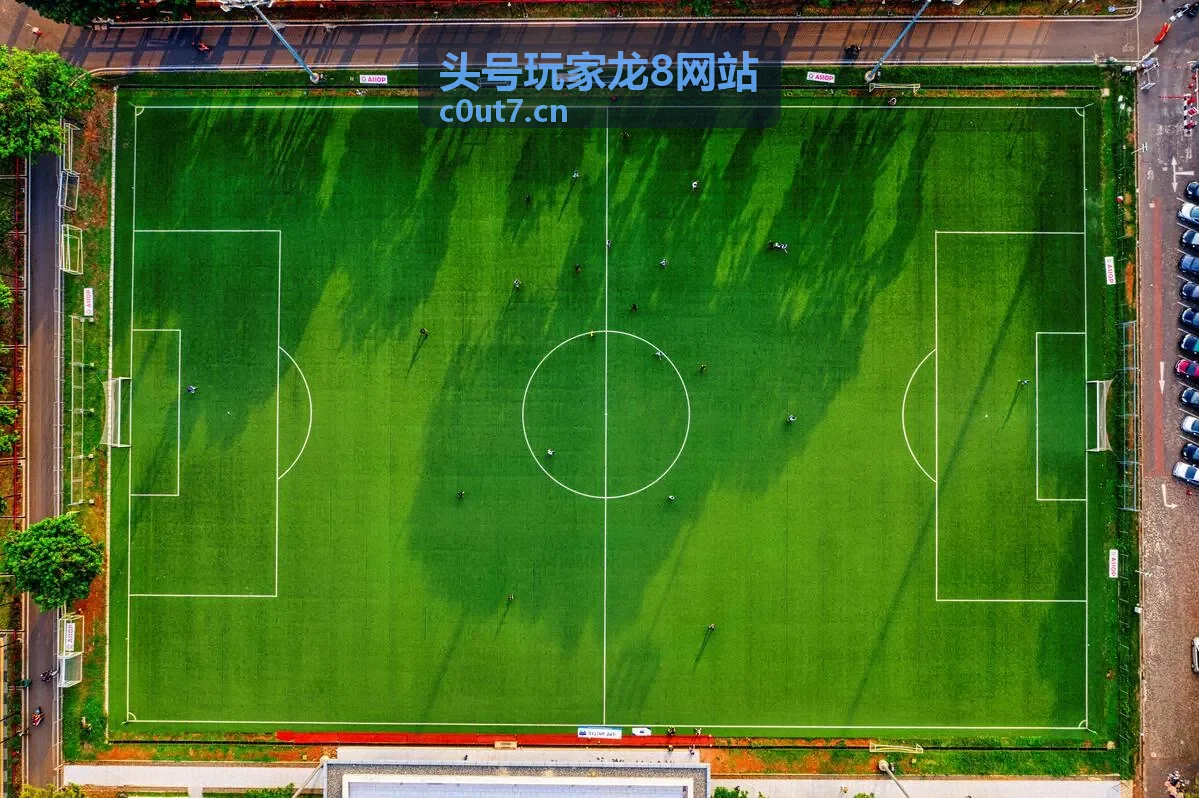 头号玩家龙8网站客户端界面预览