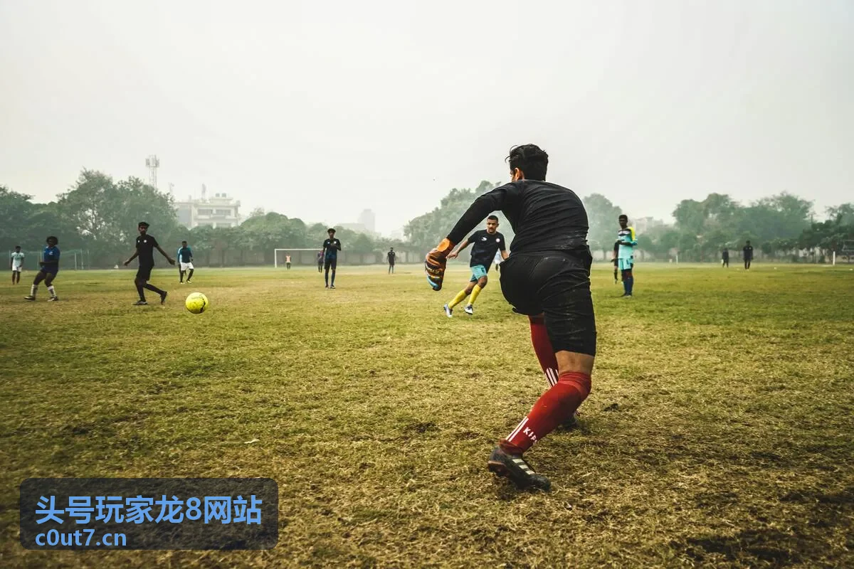 头号玩家龙8网站客户端封面
