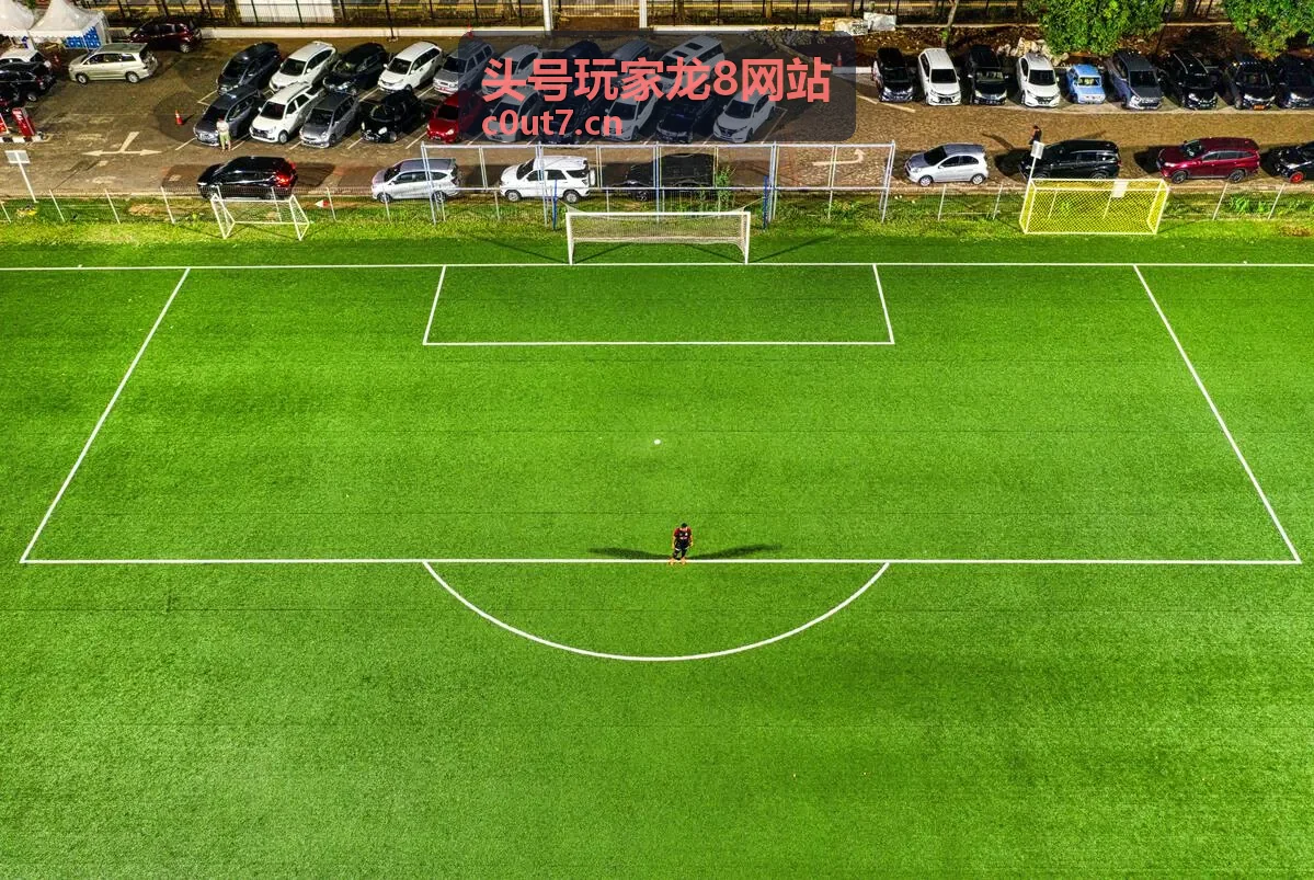 老玩家回归礼活动 - 头号玩家龙8